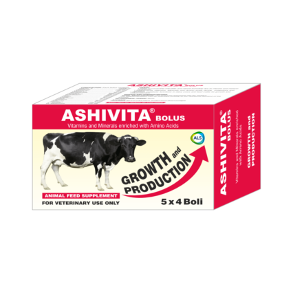 ASHIVITA Bolus