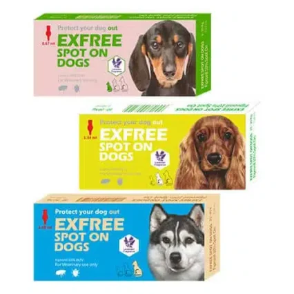 EXFREE SPOT ON DOGS
