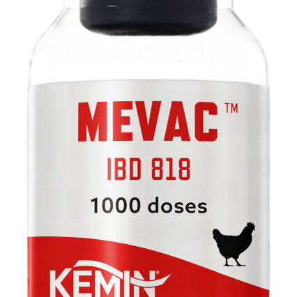 MEVAC™ IBD 818