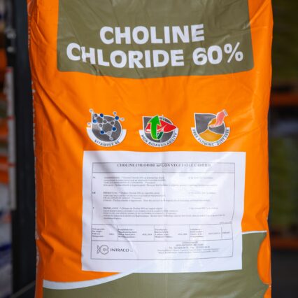 CHOLİNE CHLORİDE 60