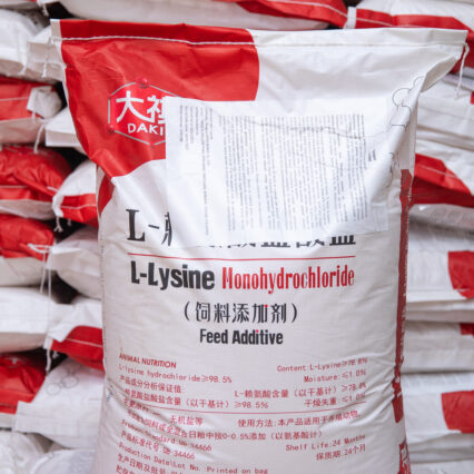 L-LYSINE MONOHYDROCHLORIDE 98,5%