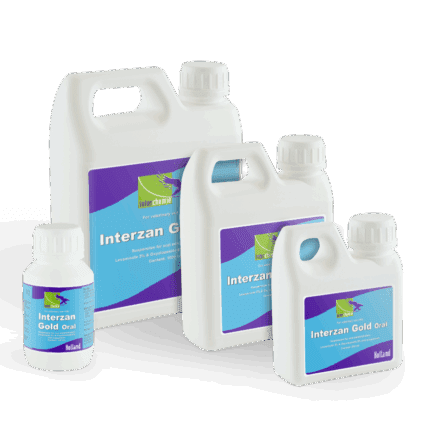 Interzan Gold Oral