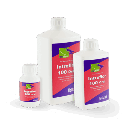 Introflor-100 Oral