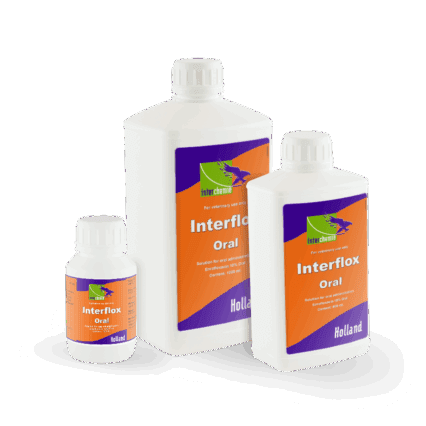 Interflox Oral