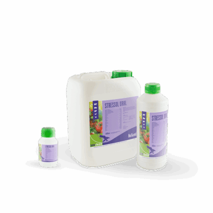Stressol Oral