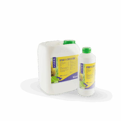 Introvit-B-Complex Oral