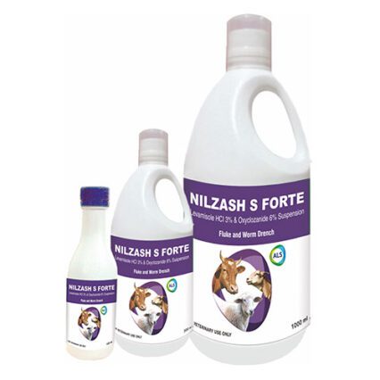 NILZASH S FORTE Suspension